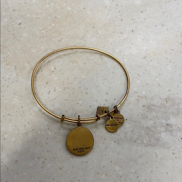 Alex and Ani - autism awareness bracelet - Picture 2 of 2